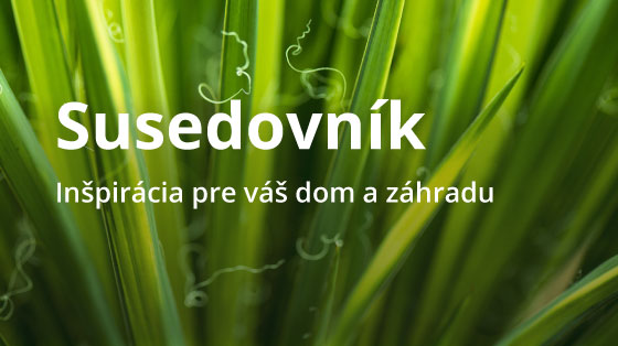 banner-susedovnik